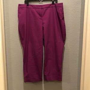Lane Bryant Capri Pants